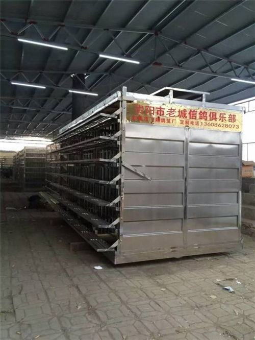 飞翔鸽笼厂 不锈钢赛鸽笼的质量之选